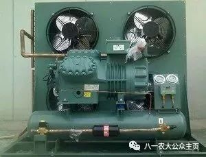 报考八一农大的十大选择之二 你是王者,也是荣耀